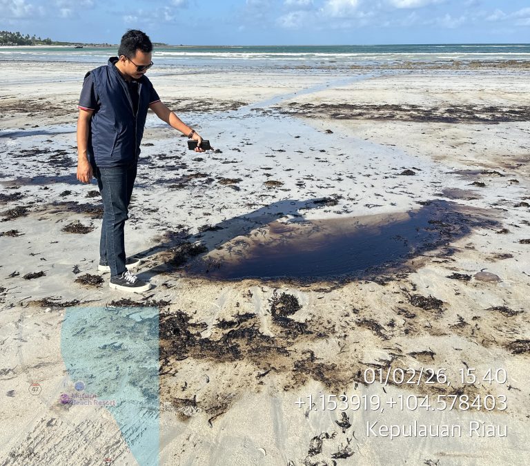 Pantai Trikora Tercemar Lagi, GHLHI Dorong KLHK dan Kemenhub Bongkar Pelaku Pembuangan Minyak Ilegal
