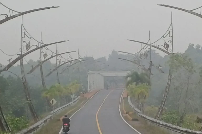 Dinkes Kepri imbau Masyarakat Waspadai Dampak Kabut Asap Terhadap Kesehatan
