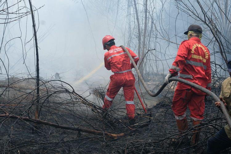 Pakar Hukum Lingkungan Dorong Penguatan Aturan Pengendalian Karhutla